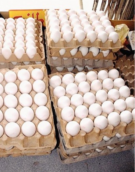 إربد ... ضبط أكثر من 2000 كرتونة بيض فاسد